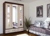 Шкаф-купе Модерн-Люкс 1,65 м